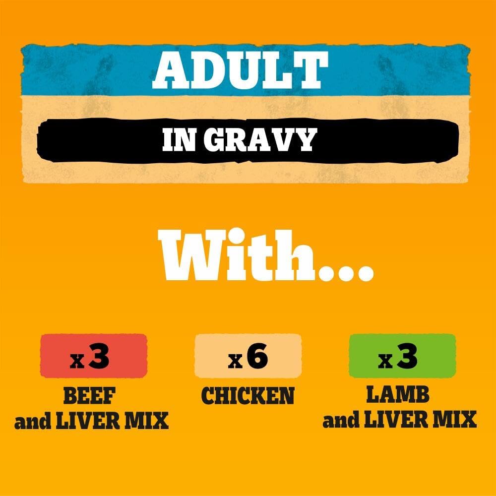 Pedigree Adult Dog Wet Food Can, Mixed Selection Gravy, 12x400g