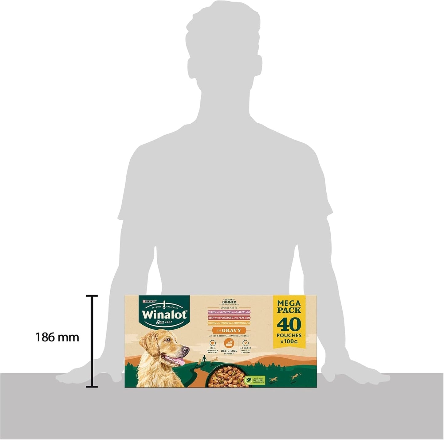 WINALOT Sunday Dinner Mixed in Gravy Wet Dog Food 40x100g