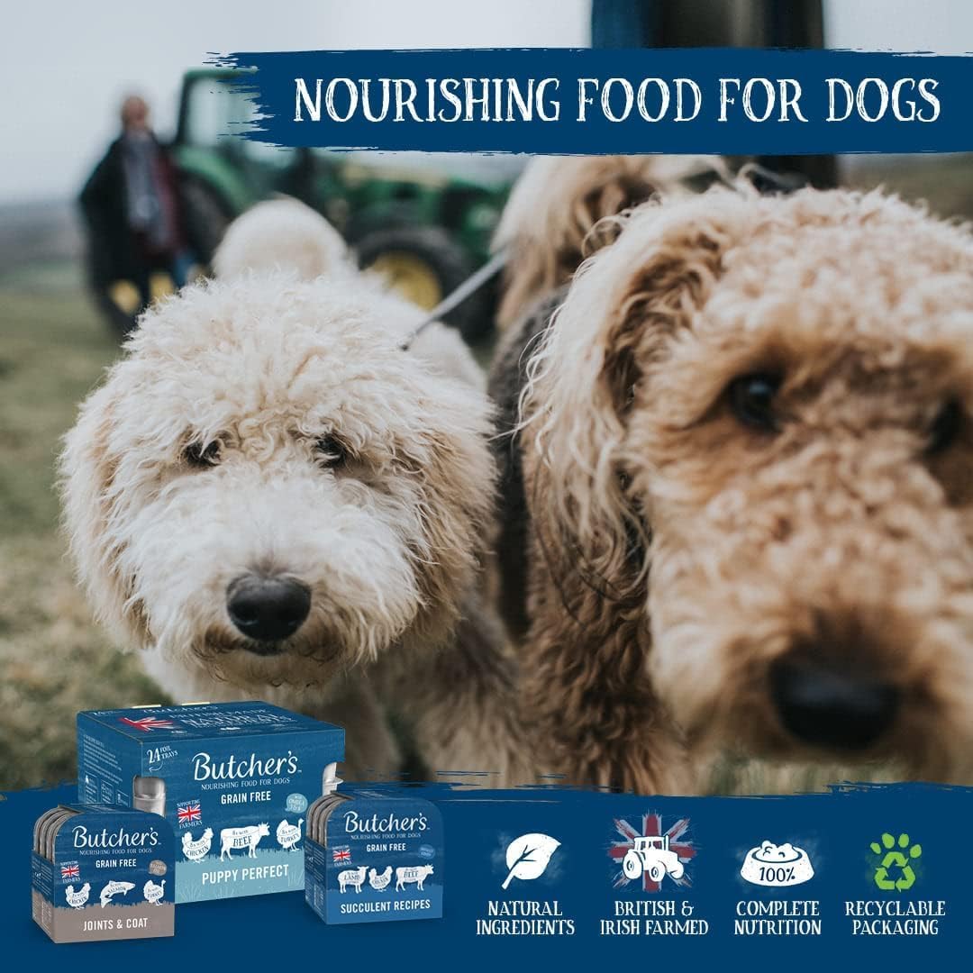 Butcher's Recipes in Jelly Dog Food Tins Variety Pack 24x400g