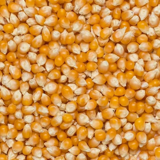Wholefood Earth Organic Popping Corn – 3kg | GMO Free | Vegan | High Fibre | Certified Organic