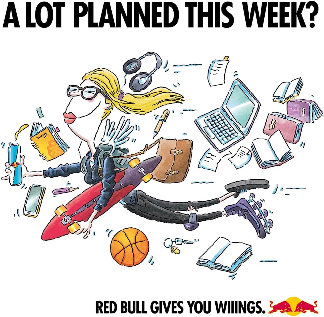 Red Bull Energy Drink 250 ml x 24
