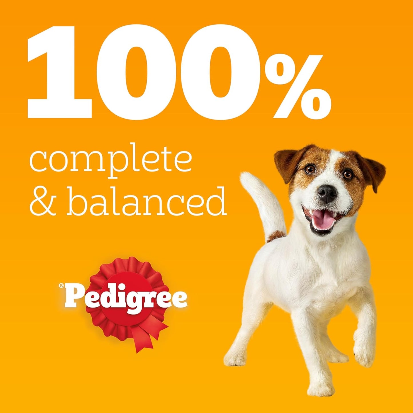 Pedigree Adult Dog Wet Food Pouch Mixed Selection in Gravy, 40x100g