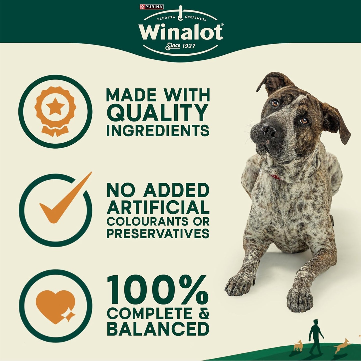 WINALOT Sunday Dinner Mixed in Gravy Wet Dog Food 40x100g