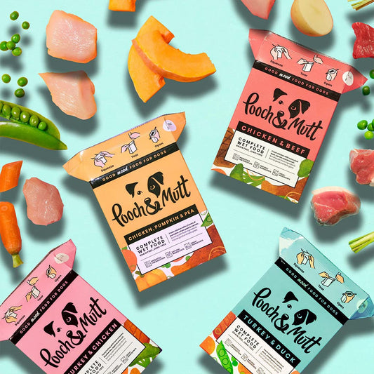 Pooch & Mutt - Variety Pack of Complete Wet Dog Food, Dry Dog Food Topper, 12x375g