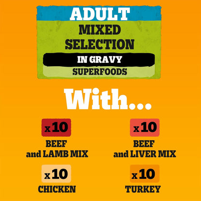 Pedigree Adult Dog Wet Food Pouch Mixed Selection in Gravy, 40x100g