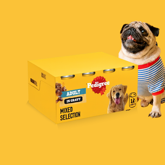 Pedigree Adult Dog Wet Food Can, Mixed Selection Gravy, 12x400g