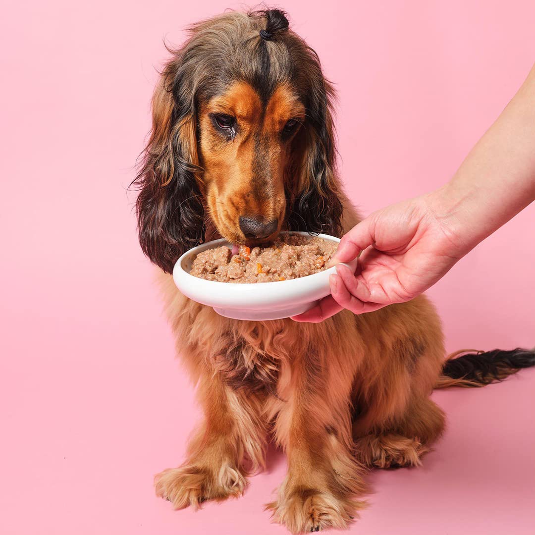 Pooch & Mutt - Variety Pack of Complete Wet Dog Food, Dry Dog Food Topper, 12x375g